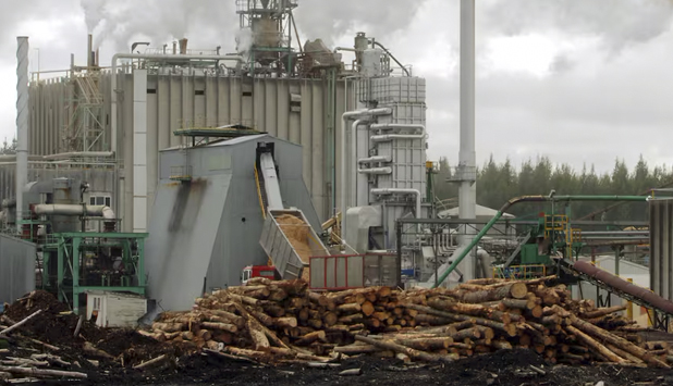 Winstone Pulp International closing its Pulp Mill and Sawmill in New Zealand